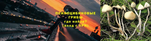 каннабис Арсеньев