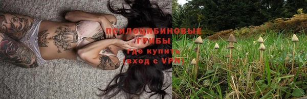 каннабис Арсеньев